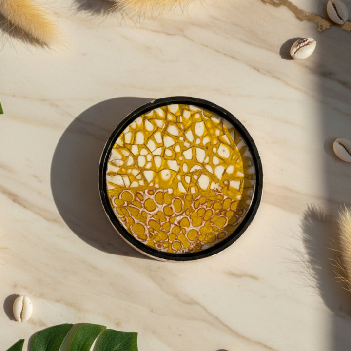 6 PC SEASHELL COASTER SET