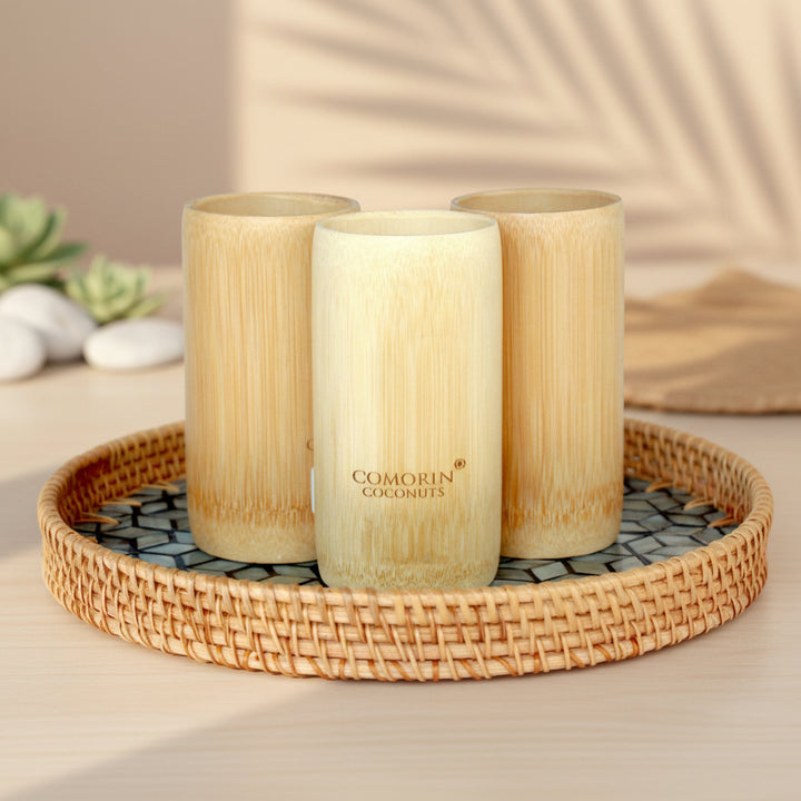 GEOMETRIC WONDER ROUND SEASHELL TRAY