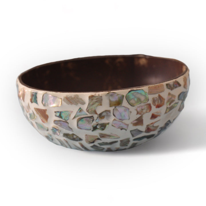 Random Sunshine Seashell Coconut Bowl (500ml)