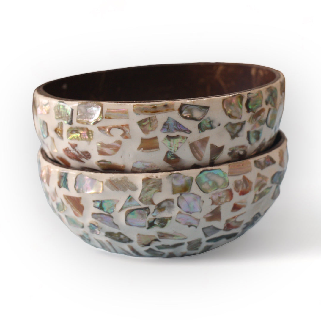 Random Sunshine Seashell Coconut Bowl (500ml)