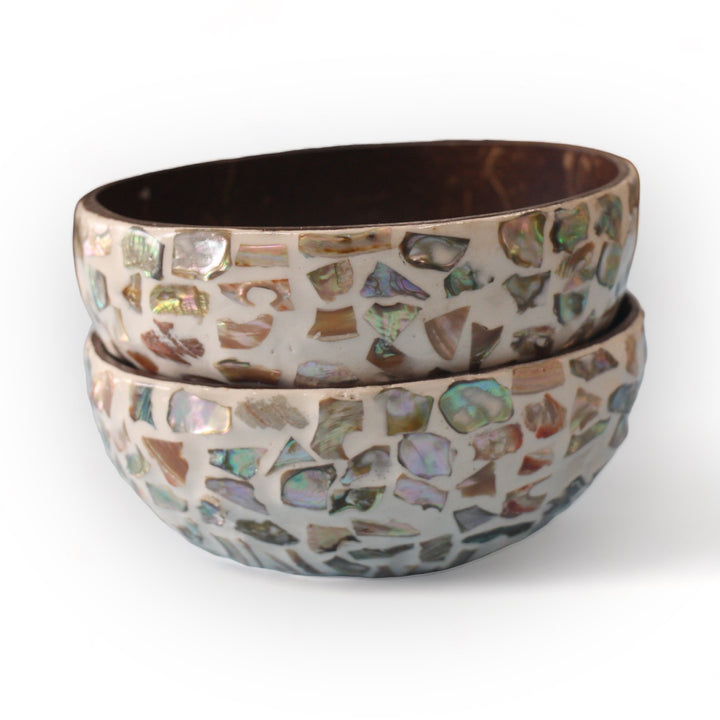 Random Sunshine Seashell Coconut Bowl (500ml)
