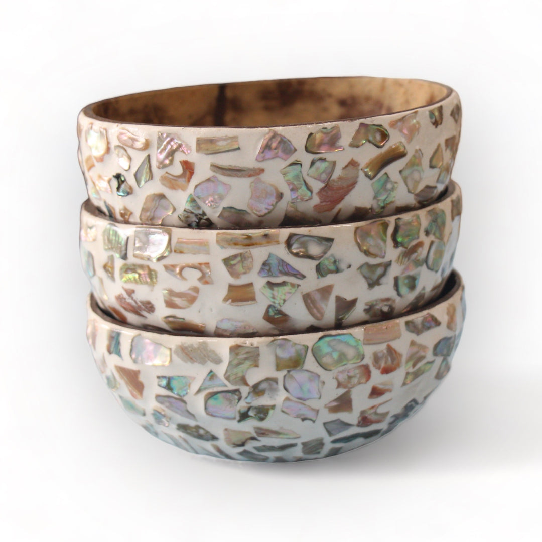 Random Sunshine Seashell Coconut Bowl (500ml)