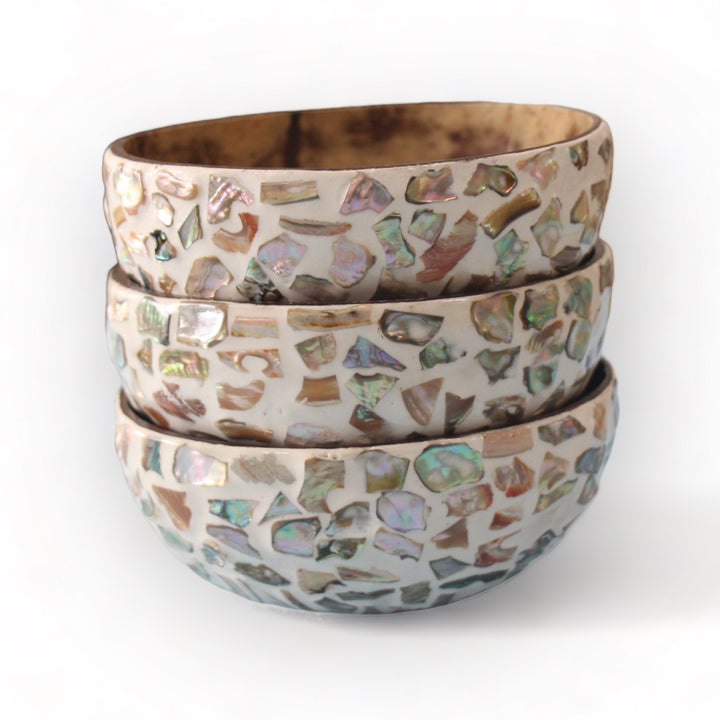 Random Sunshine Seashell Coconut Bowl (500ml)