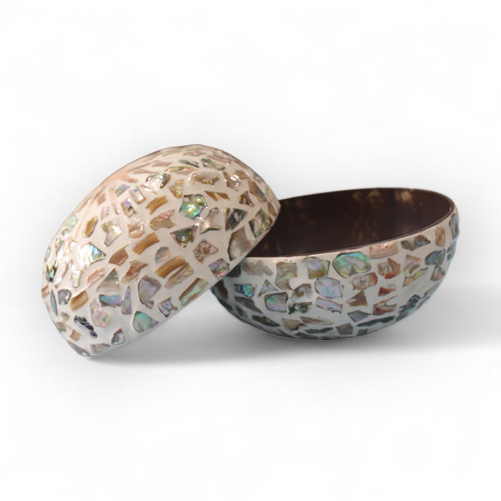 Random Sunshine Seashell Coconut Bowl (500ml)