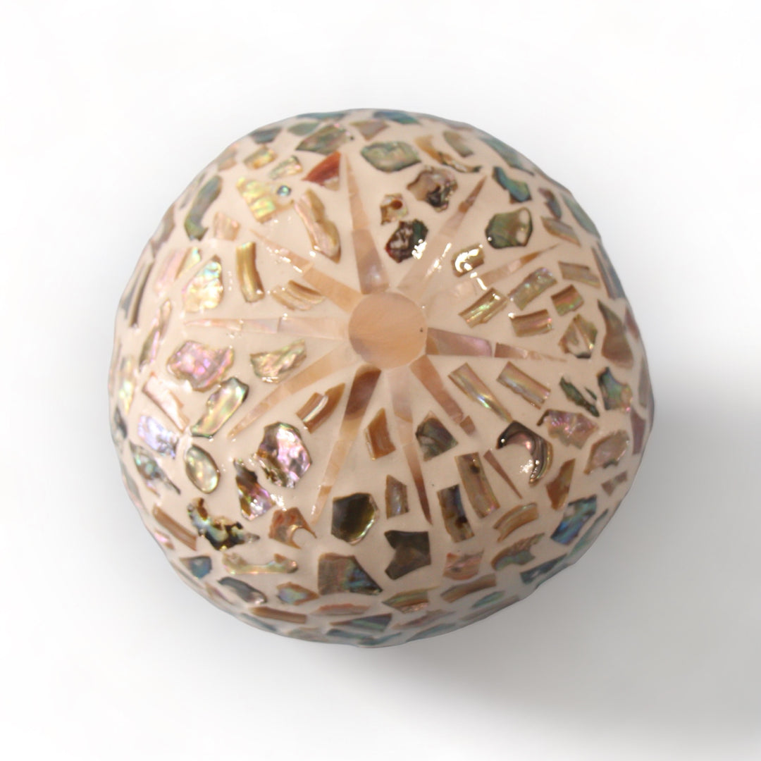 Random Sunshine Seashell Coconut Bowl (500ml)
