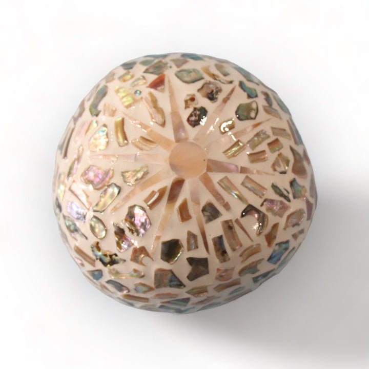 Random Sunshine Seashell Coconut Bowl (500ml)