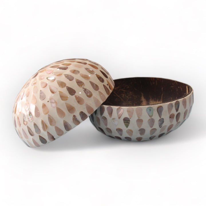 Raindrops Seashell Coconut Bowl (500ml)