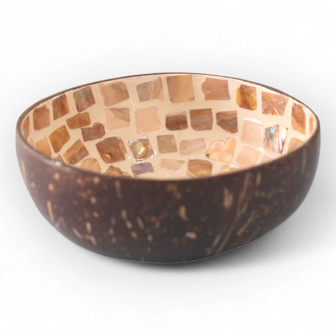 Enchanting Elephant Seashell Coconut Bowl (500ml)