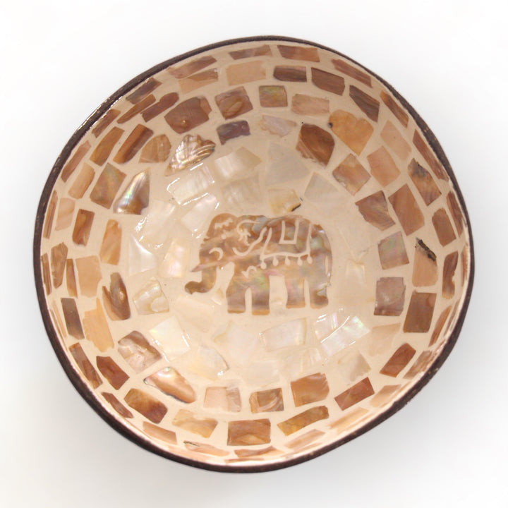 Enchanting Elephant Seashell Coconut Bowl (500ml)