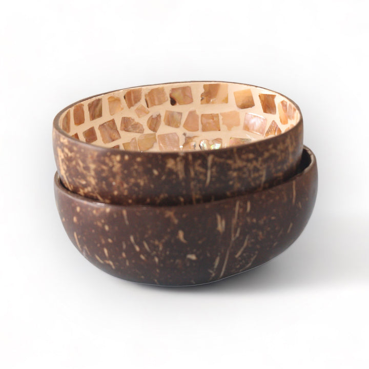 Enchanting Elephant Seashell Coconut Bowl (500ml)