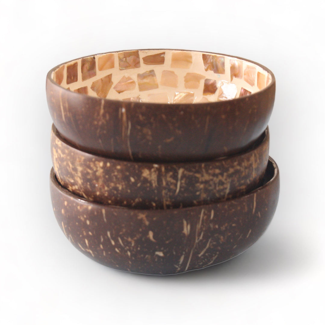 Enchanting Elephant Seashell Coconut Bowl (500ml)