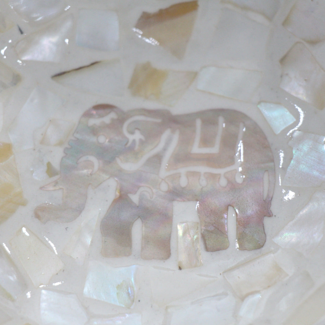 Enchanting Elephant Seashell Coconut Bowl (500ml)
