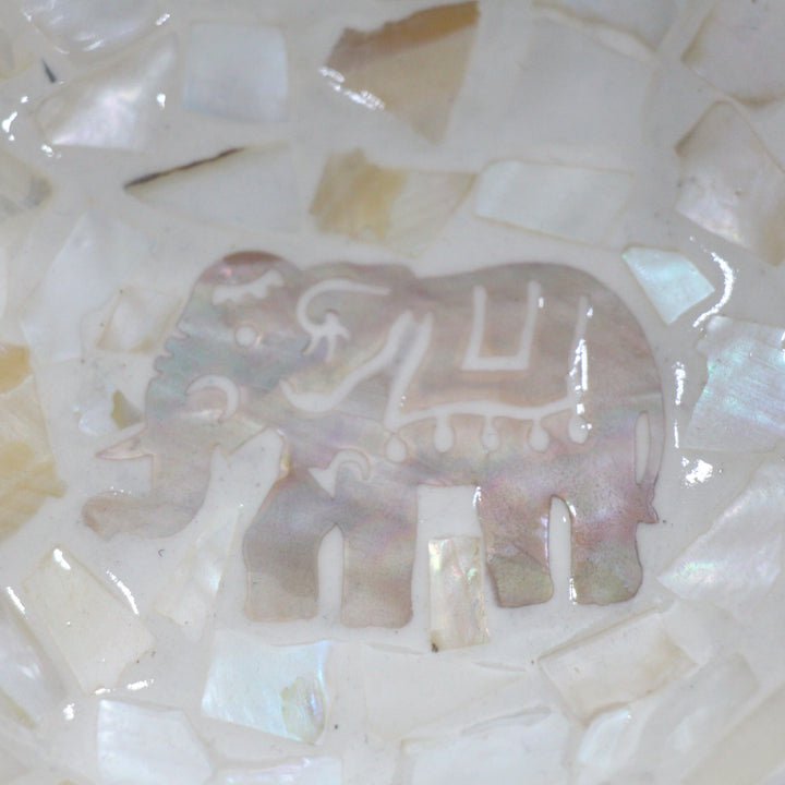 Enchanting Elephant Seashell Coconut Bowl (500ml)