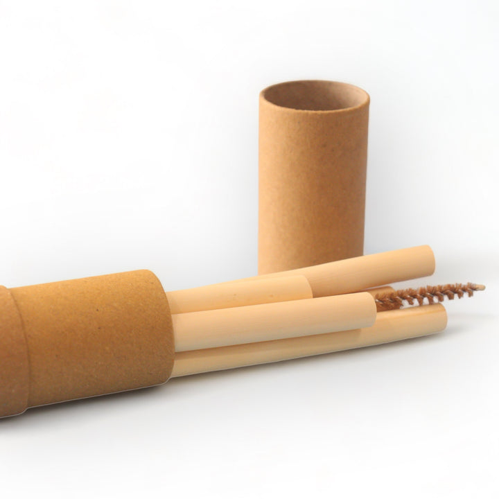 Set of 5 Reusable Bamboo Straws with Cleaner
