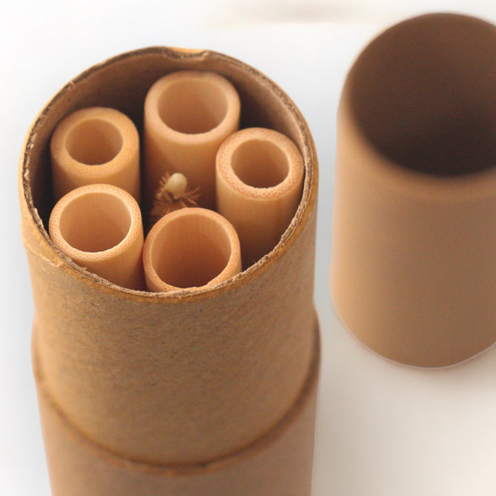 Set of 5 Reusable Bamboo Straws with Cleaner