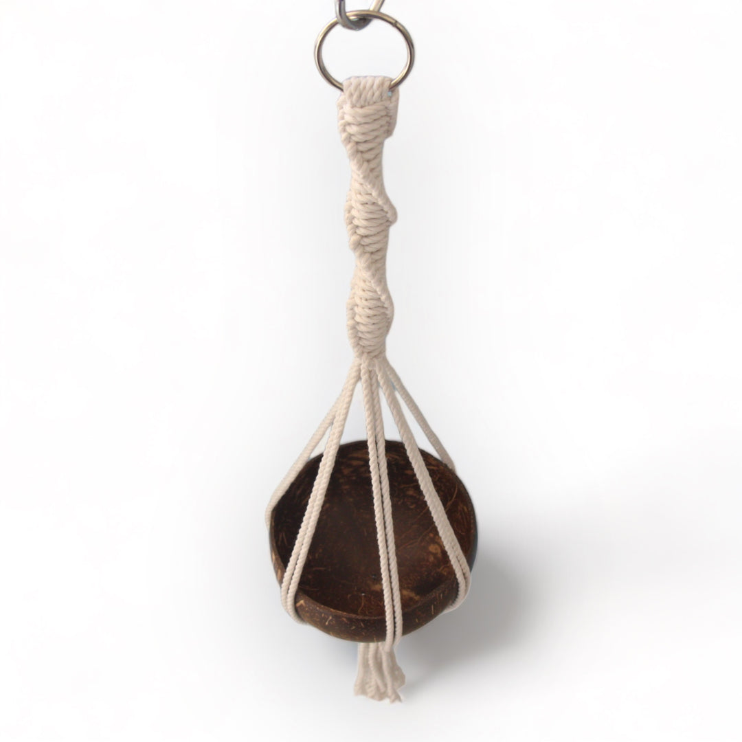 Hanging Planters with Macrame Designs