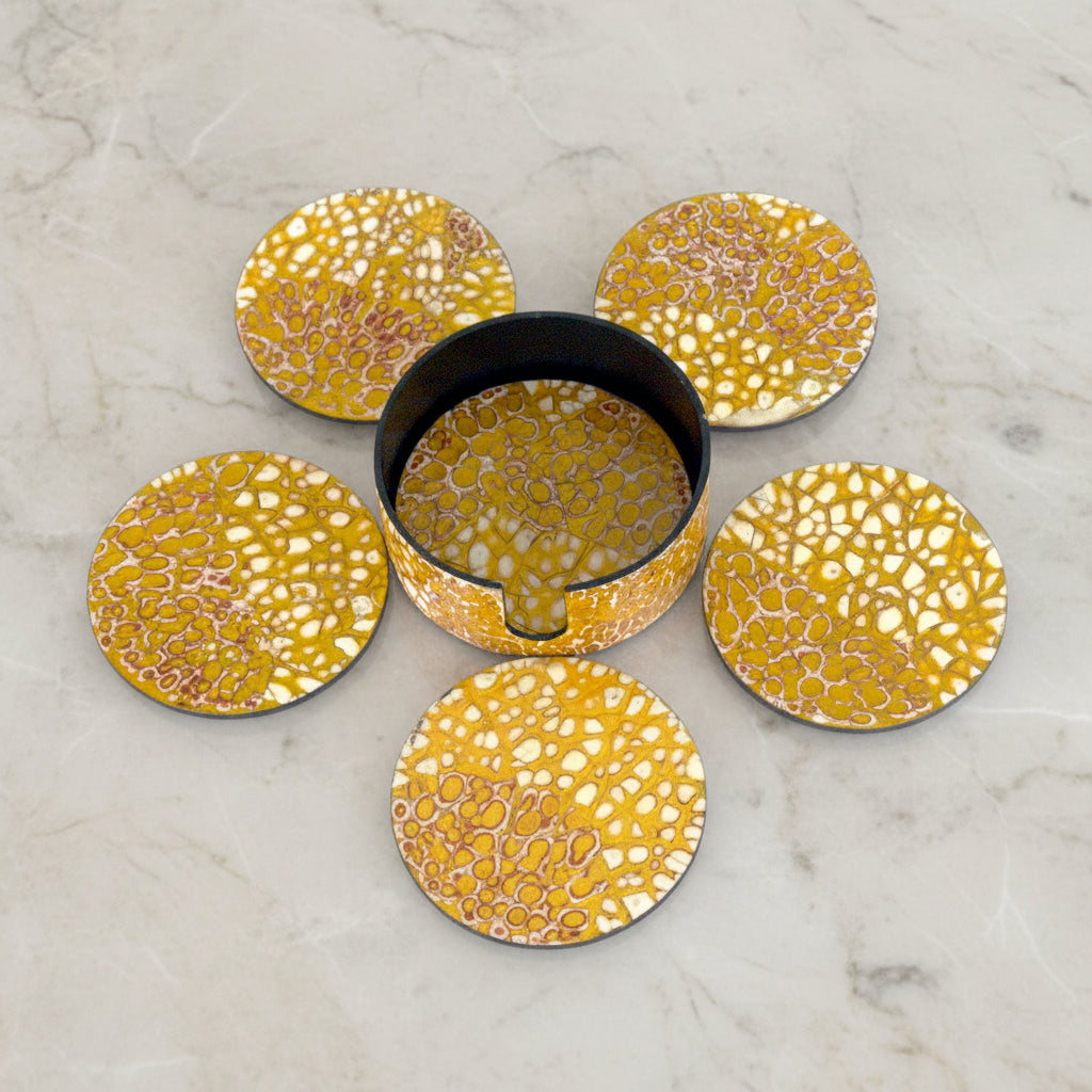 6 PC SEASHELL COASTER SET